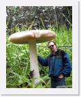 mushroom_me * 652 x 800 * (107KB)