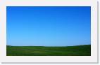 green_grass * 800 x 475 * (17KB)