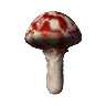 mushroom(306390 bytes)