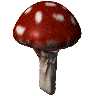 mushroom2.gif (410909 bytes)